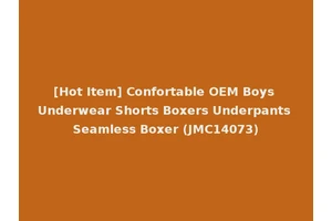 [Hot Item] Confortable OEM Boys Underwear Shorts Boxers Underpants Seamless Boxer (JMC14073)