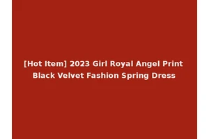 [Hot Item] 2023 Girl Royal Angel Print Black Velvet Fashion Spring Dress
