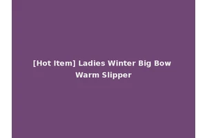 [Hot Item] Ladies Winter Big Bow Warm Slipper