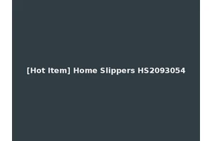 [Hot Item] Home Slippers HS2093054