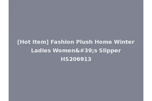 [Hot Item] Fashion Plush Home Winter Ladies Women's Slipper HS206913