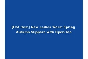 [Hot Item] New Ladies Warm Spring Autumn Slippers with Open Toe