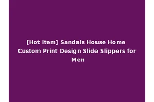 [Hot Item] Sandals House Home Custom Print Design Slide Slippers for Men