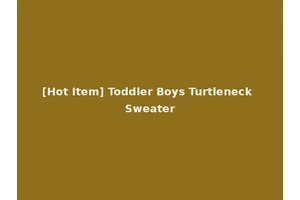 [Hot Item] Toddler Boys Turtleneck Sweater