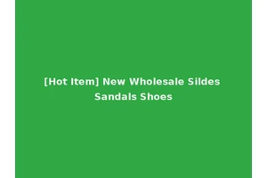 [Hot Item] New Wholesale Sildes Sandals Shoes