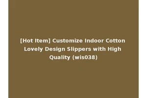 [Hot Item] Customize Indoor Cotton Lovely Design Slippers with High Quality (wis038)