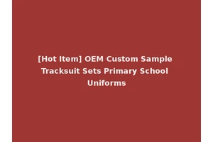 [Hot Item] OEM Custom Sample Tracksuit Sets Primary School Uniforms