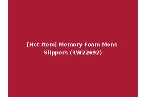 [Hot Item] Memory Foam Mens Slippers (RW22692)