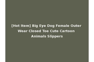 [Hot Item] Big Eye Dog Female Outer Wear Closed Toe Cute Cartoon Animals Slippers