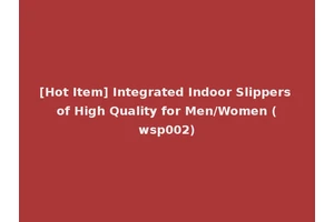 [Hot Item] Integrated Indoor Slippers of High Quality for Men/Women (wsp002)