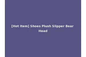 [Hot Item] Shoes Plush Slipper Bear Head