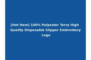 [Hot Item] 100% Polyester Terry High Quality Disposable Slipper Embroidery Logo