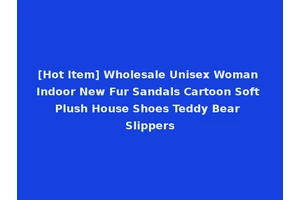 [Hot Item] Wholesale Unisex Woman Indoor New Fur Sandals Cartoon Soft Plush House Shoes Teddy Bear Slippers