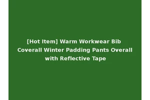 [Hot Item] Warm Workwear Bib Coverall Winter Padding Pants Overall with Reflective Tape
