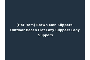 [Hot Item] Brown Men Slippers Outdoor Beach Flat Lazy Slippers Lady Slippers