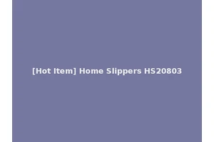[Hot Item] Home Slippers HS20803