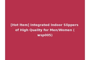 [Hot Item] Integrated Indoor Slippers of High Quality for Men/Women (wsp005)
