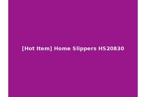 [Hot Item] Home Slippers HS20830
