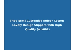 [Hot Item] Customize Indoor Cotton Lovely Design Slippers with High Quality (wis067)