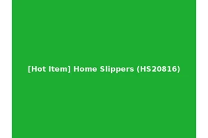 [Hot Item] Home Slippers (HS20816)