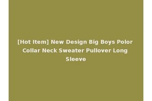 [Hot Item] New Design Big Boys Polor Collar Neck Sweater Pullover Long Sleeve