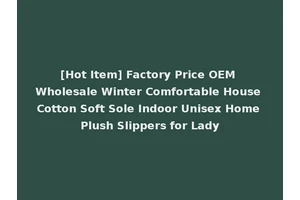 [Hot Item] Factory Price OEM Wholesale Winter Comfortable House Cotton Soft Sole Indoor Unisex Home Plush Slippers for Lady