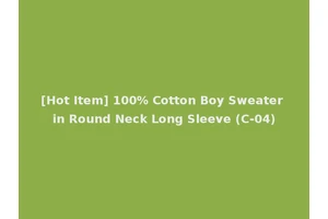 [Hot Item] 100% Cotton Boy Sweater in Round Neck Long Sleeve (C-04)