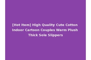 [Hot Item] High Quality Cute Cotton Indoor Cartoon Couples Warm Plush Thick Sole Slippers