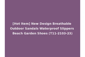 [Hot Item] New Design Breathable Outdoor Sandals Waterproof Slippers Beach Garden Shoes (T11-2103-23)