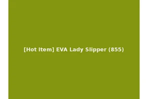 [Hot Item] EVA Lady Slipper (855)