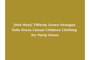[Hot Item] Tiffanly Green Orangza Tulle Dress Casual Children Clothing for Party Dress