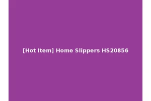 [Hot Item] Home Slippers HS20856