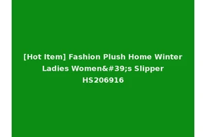 [Hot Item] Fashion Plush Home Winter Ladies Women's Slipper HS206916