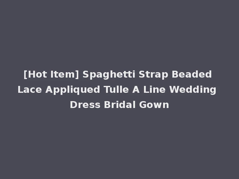 [Hot Item] Spaghetti Strap Beaded Lace Appliqued Tulle A Line Wedding Dress Bridal Gown