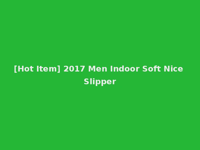 [Hot Item] 2017 Men Indoor Soft Nice Slipper