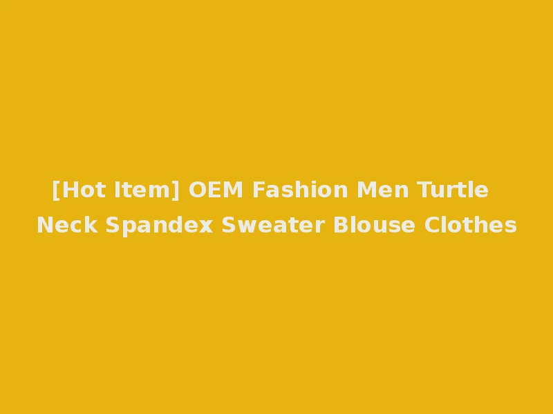 [Hot Item] OEM Fashion Men Turtle Neck Spandex Sweater Blouse Clothes