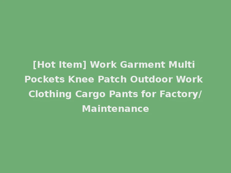 [Hot Item] Work Garment Multi Pockets Knee Patch Outdoor Work Clothing Cargo Pants for Factory/Maintenance