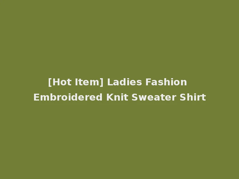 [Hot Item] Ladies Fashion Embroidered Knit Sweater Shirt