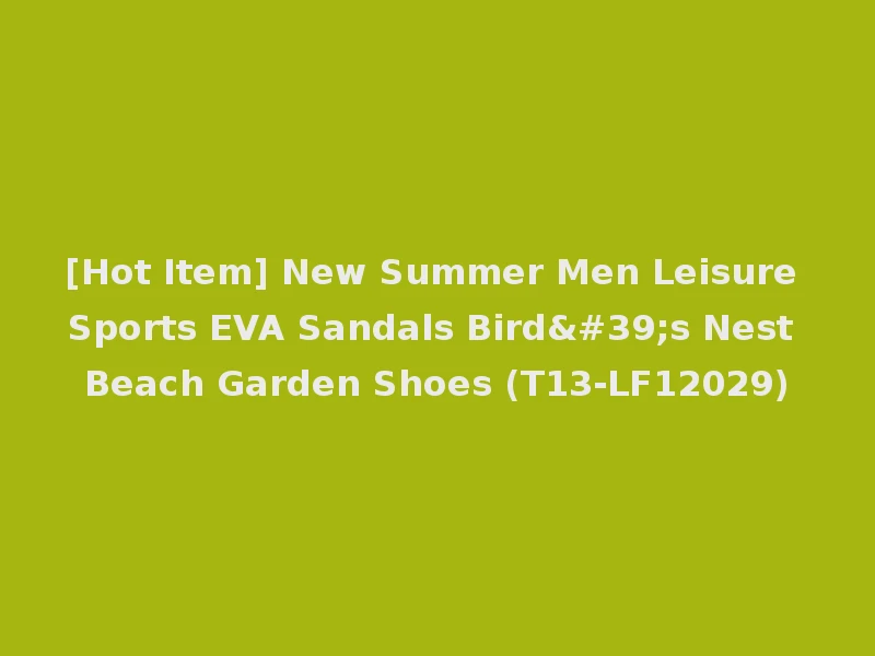 [Hot Item] New Summer Men Leisure Sports EVA Sandals Bird's Nest Beach Garden Shoes (T13-LF12029)