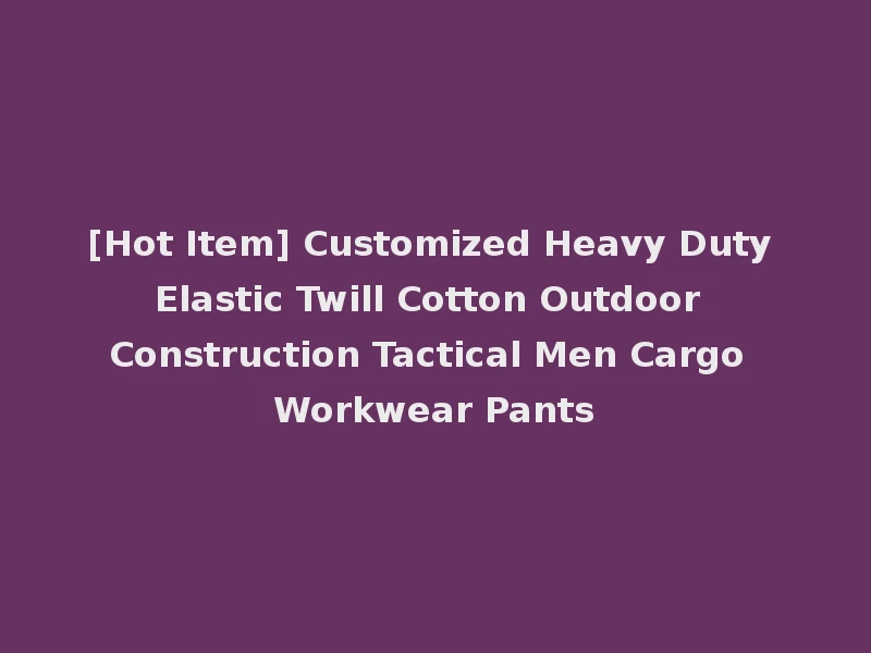 [Hot Item] Customized Heavy Duty Elastic Twill Cotton Outdoor Construction Tactical Men Cargo Workwear Pants