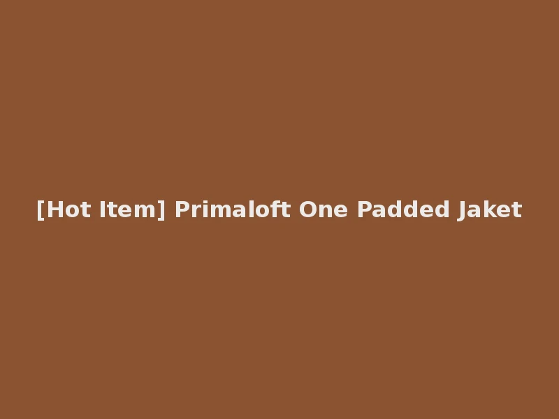 [Hot Item] Primaloft One Padded Jaket