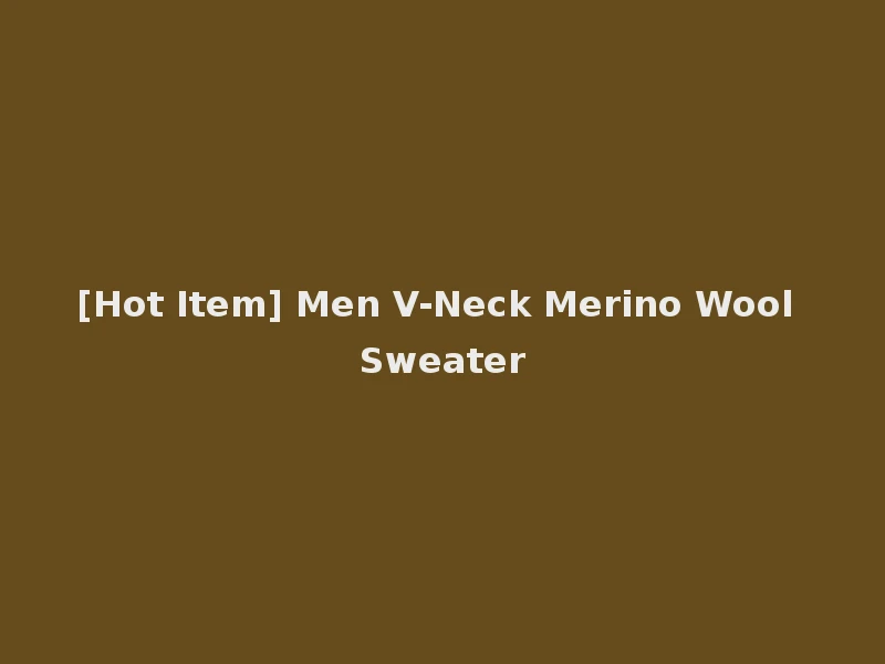 [Hot Item] Men V-Neck Merino Wool Sweater