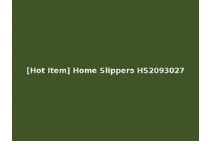 [Hot Item] Home Slippers HS2093027