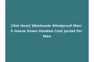 [Hot Item] Wholesale Windproof Men′ S Goose Down Hooded Coat Jacket for Men