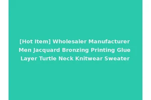 [Hot Item] Wholesaler Manufacturer Men Jacquard Bronzing Printing Glue Layer Turtle Neck Knitwear Sweater