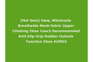 [Hot Item] Gww, Wholesale Breathable Mesh fabric Upper Climbing Shoe Coach Recommended Anti-Slip Grip Rubber Outsole Function Shoe Hsf003