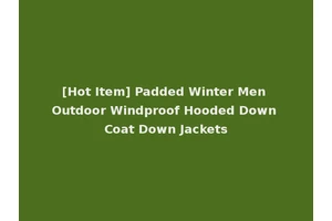 [Hot Item] Padded Winter Men Outdoor Windproof Hooded Down Coat Down Jackets