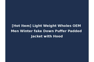 [Hot Item] Light Weight Wholes OEM Men Winter fake Down Puffer Padded Jacket with Hood