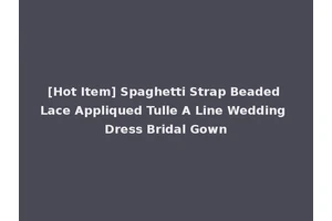 [Hot Item] Spaghetti Strap Beaded Lace Appliqued Tulle A Line Wedding Dress Bridal Gown