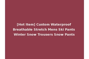[Hot Item] Custom Waterproof Breathable Stretch Mens Ski Pants Winter Snow Trousers Snow Pants